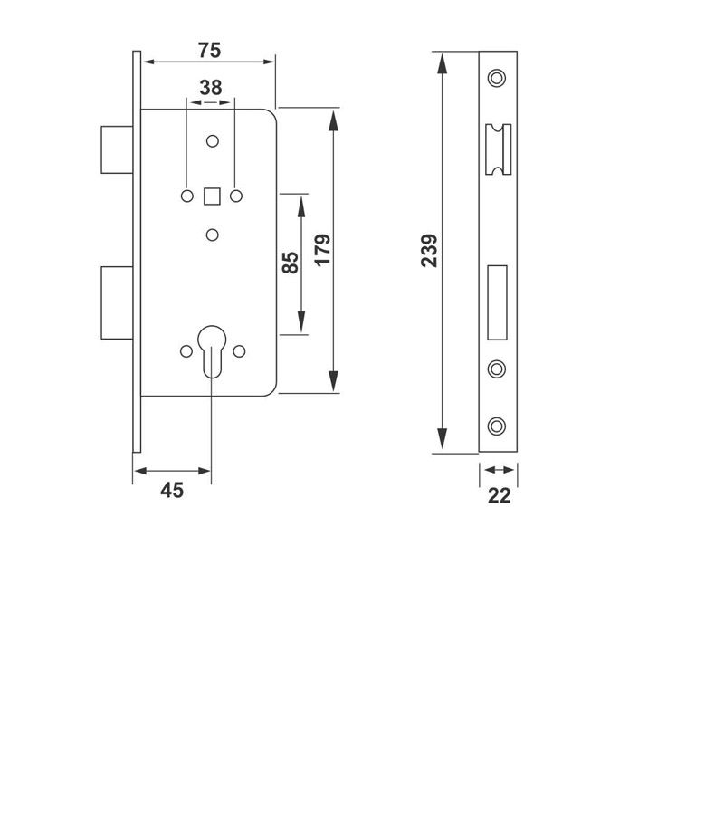 Image: 001d5-enox-mortise-lock-cutout-emb-7045.jpg