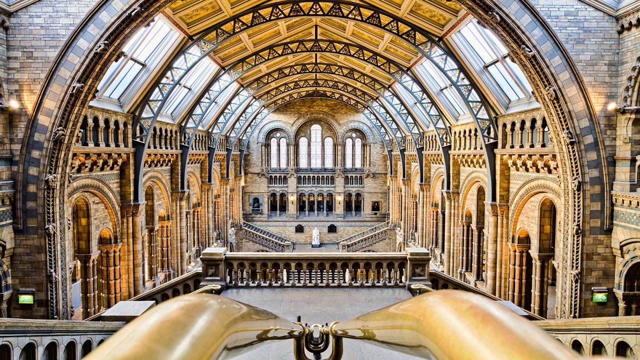 Interior of a museum