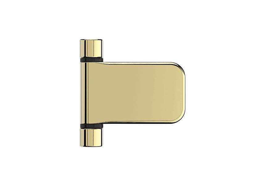 ProSecure Pace Door Hinge