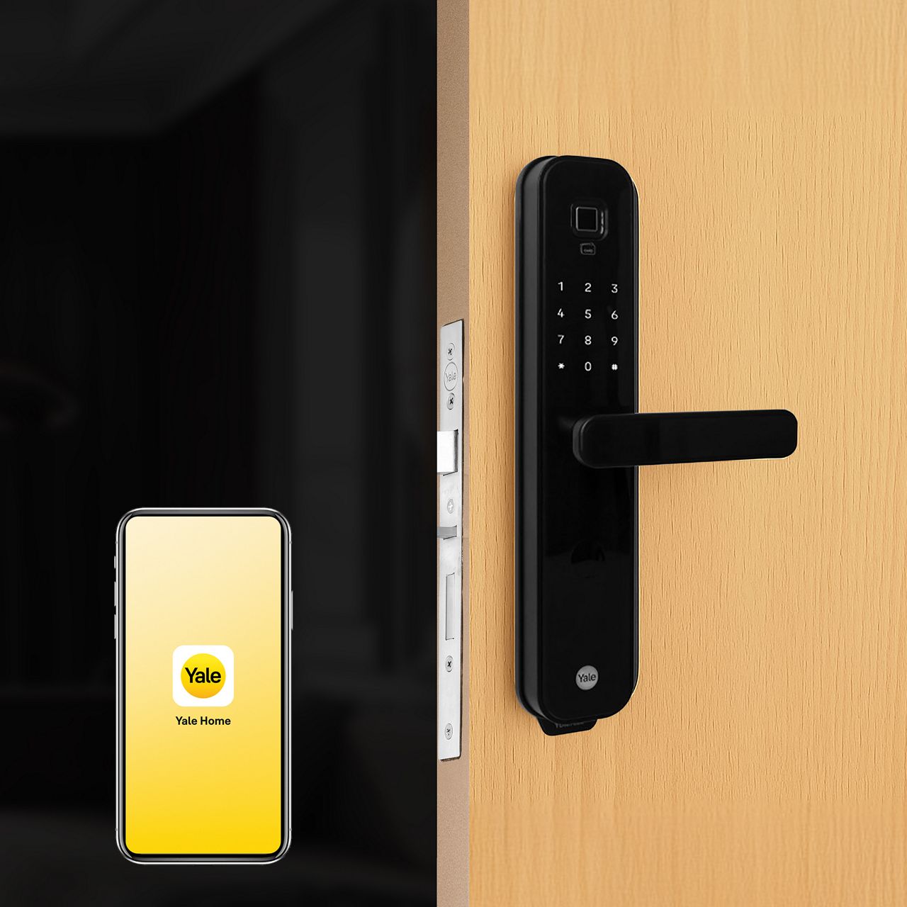 Image: No description