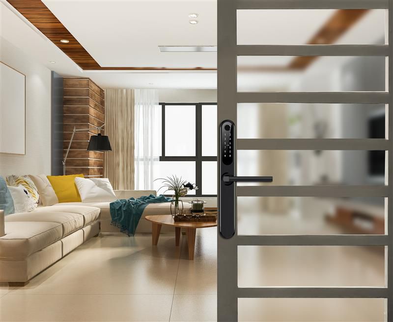 Image: No description