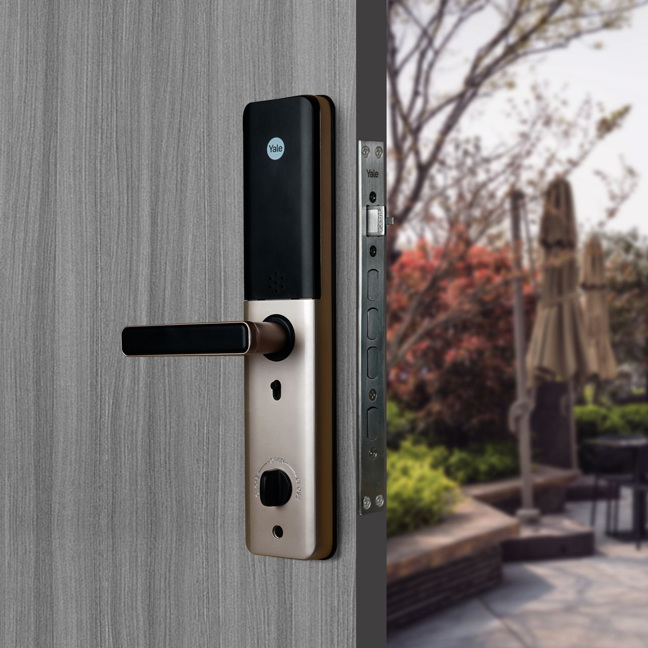 Image: No description