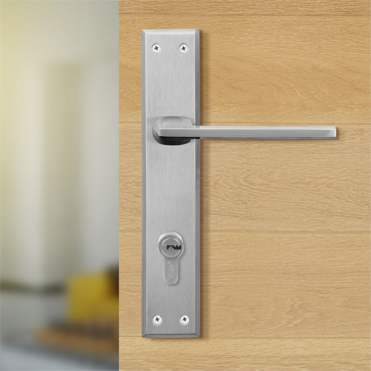 Image: No description