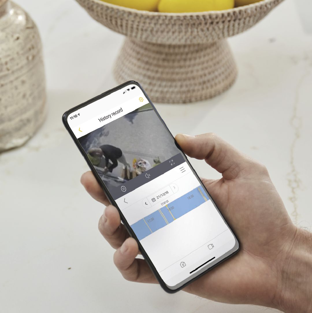 Image: No description