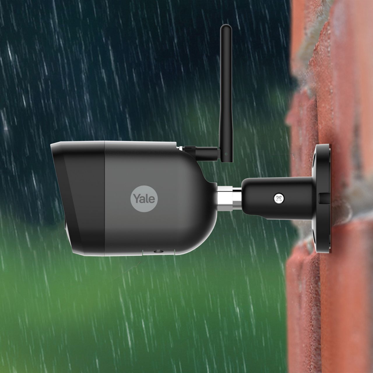 Image: No description