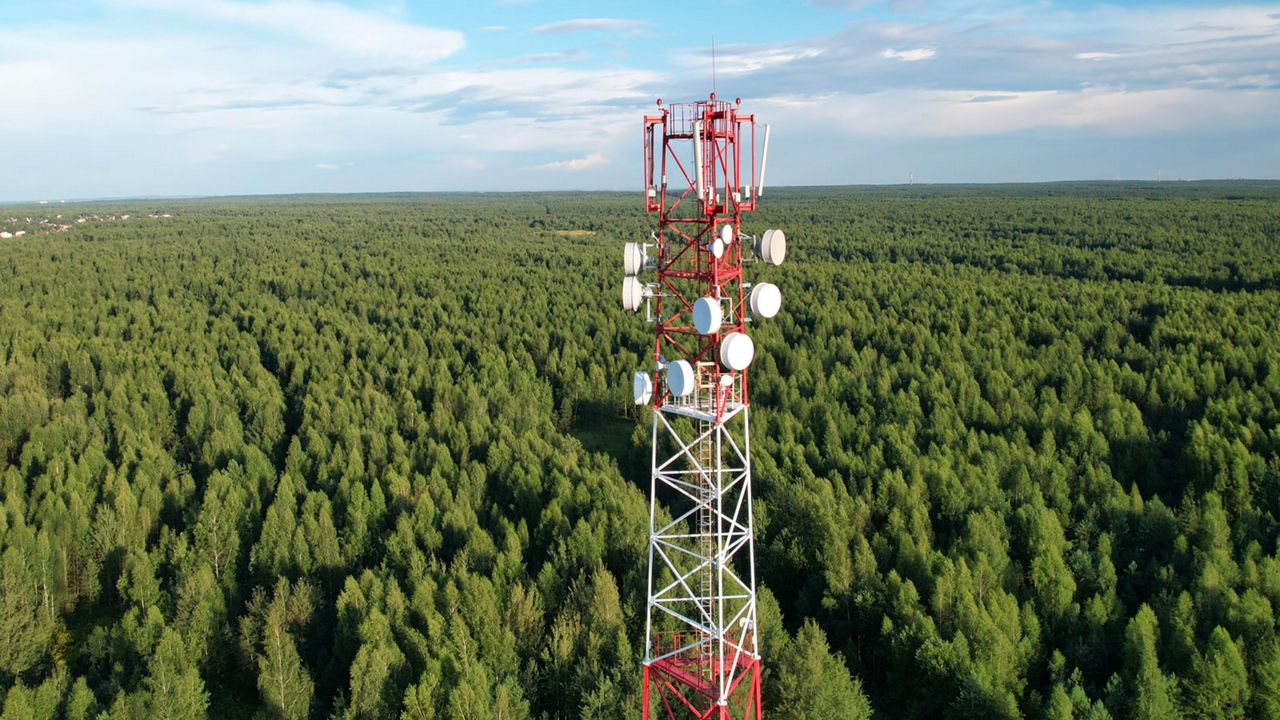 A mast in the middle of the forest