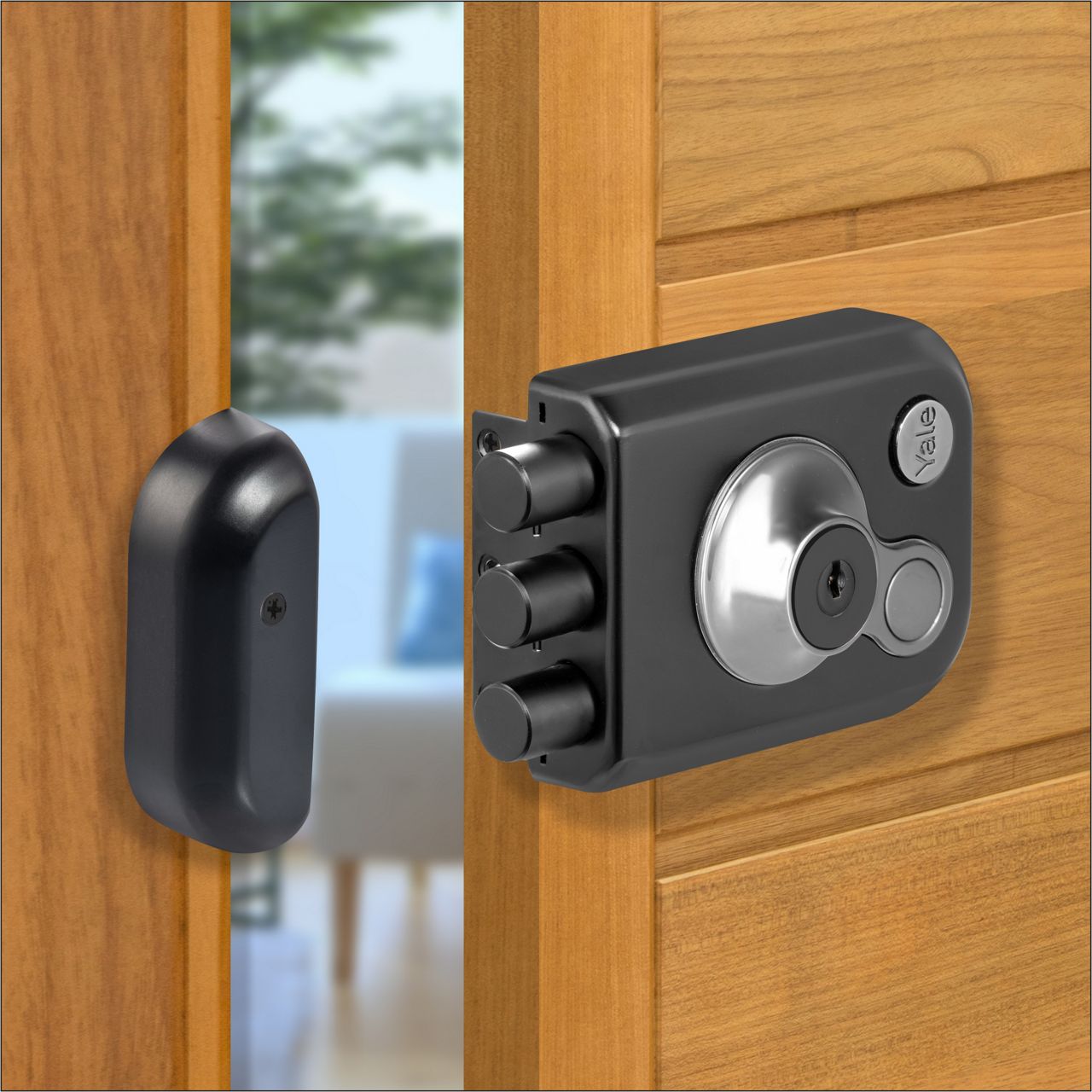 Image: No description