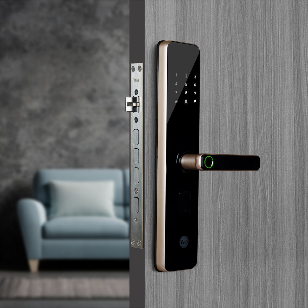 Image: No description