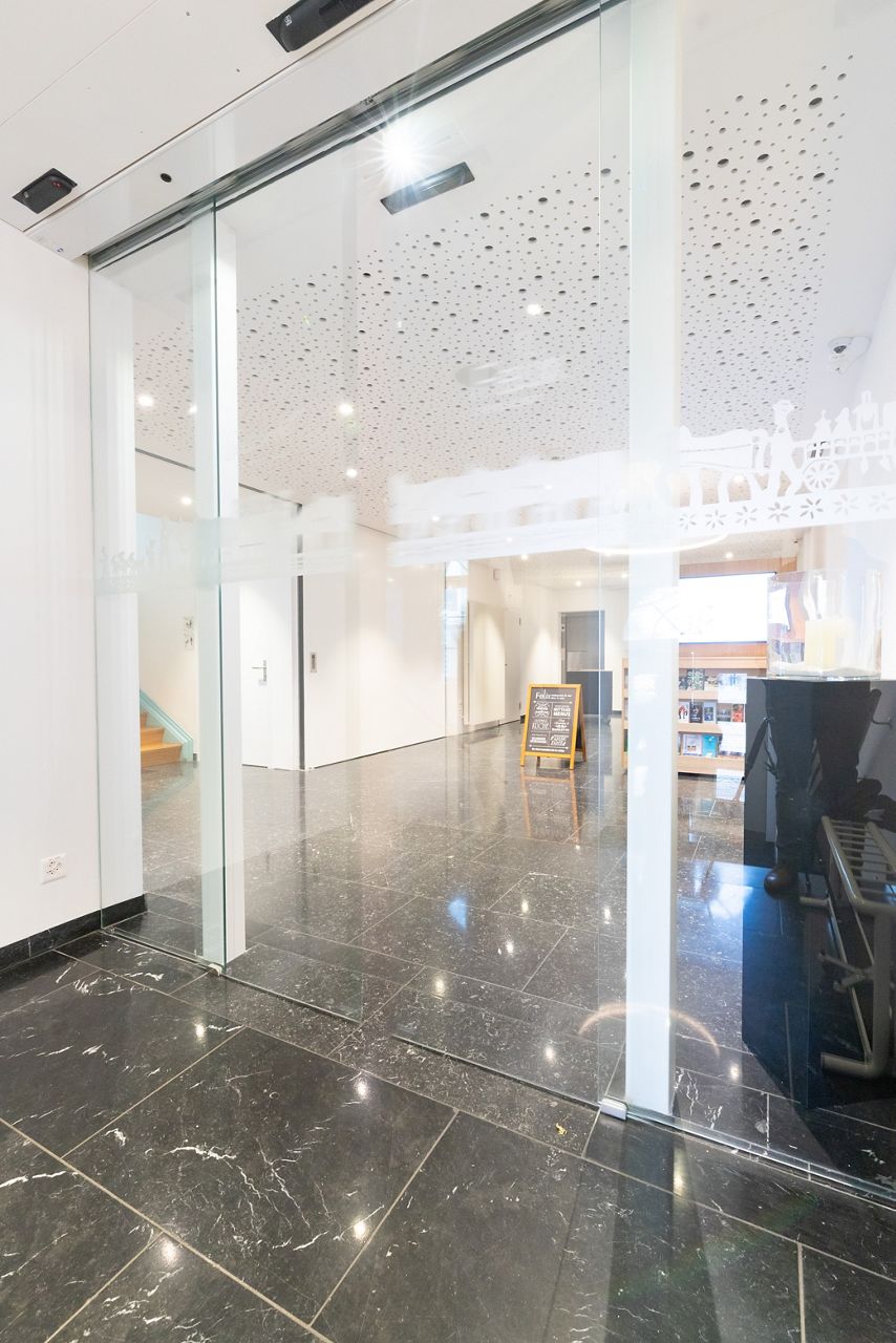 Record STA 20 Frameless Sliding Door