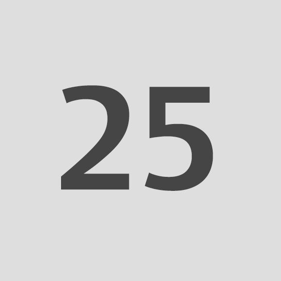 Infinity 25