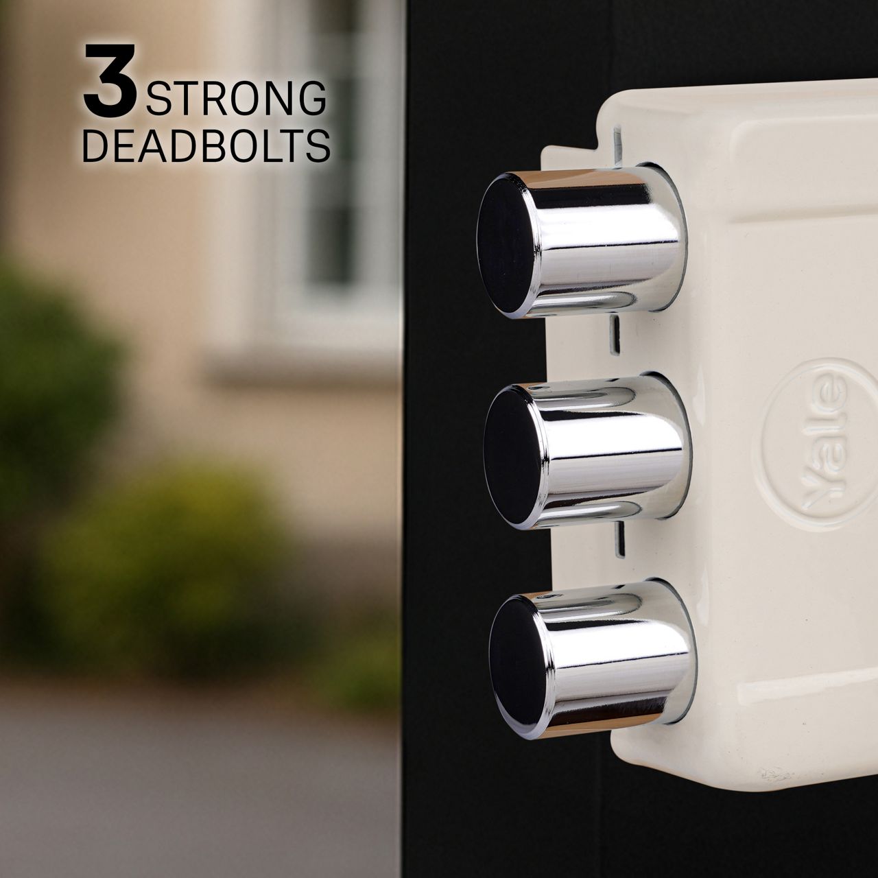 Image: No description