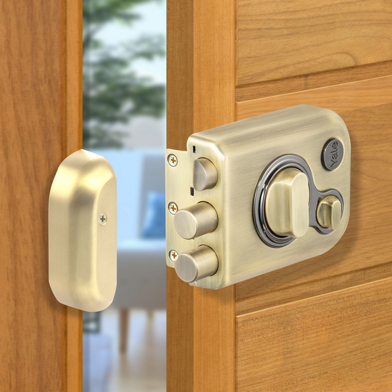 Image: No description