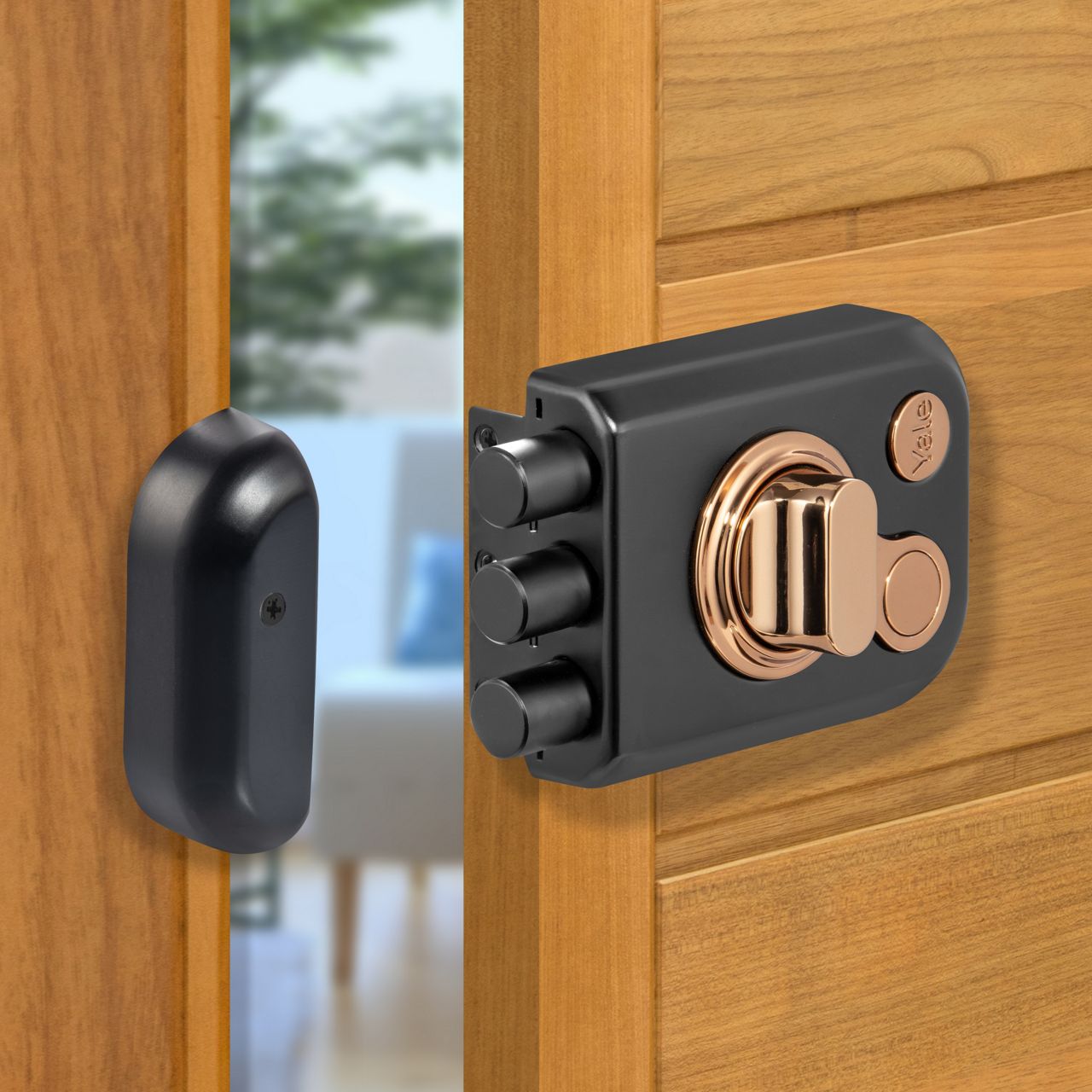 Image: No description