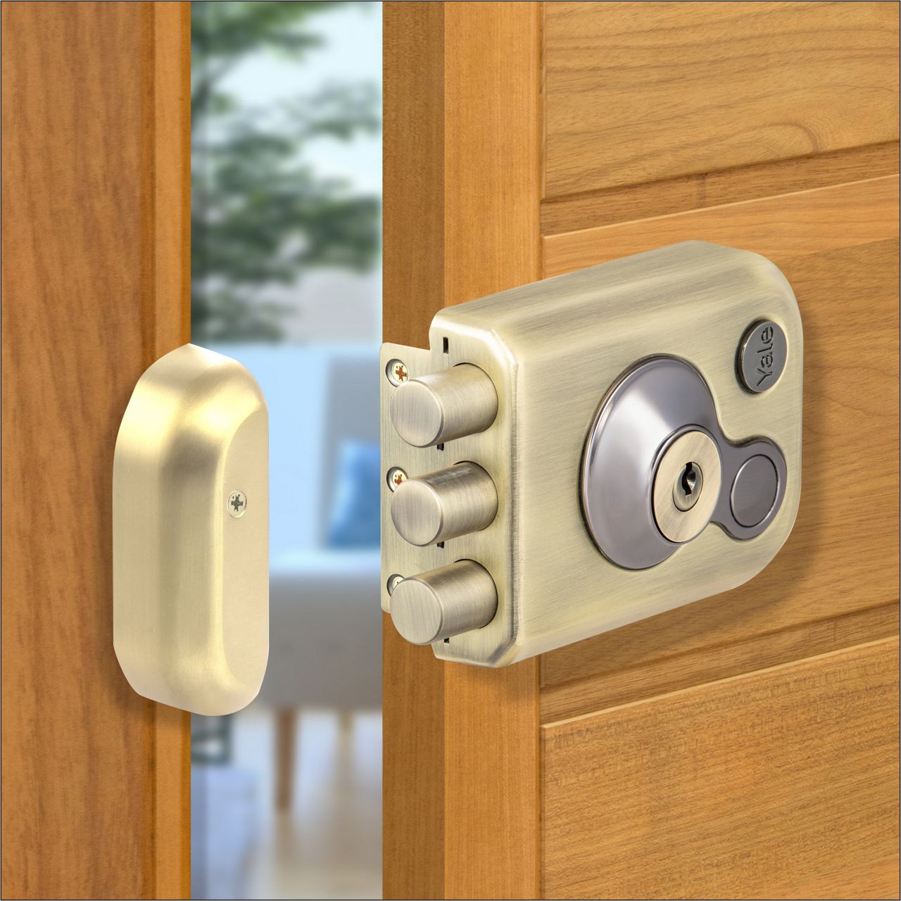 Image: No description