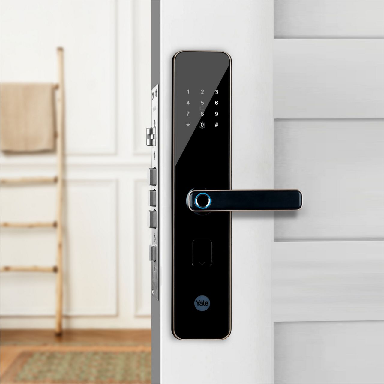 Image: No description