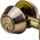 386c4-img2156.jpg