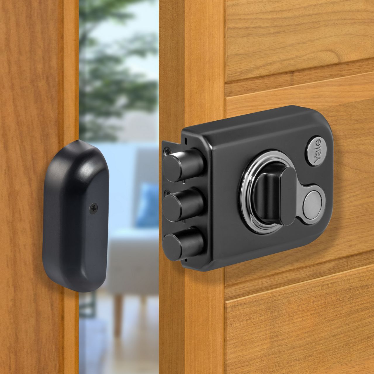 Image: No description