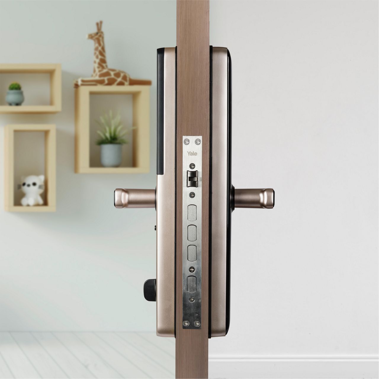 Image: No description