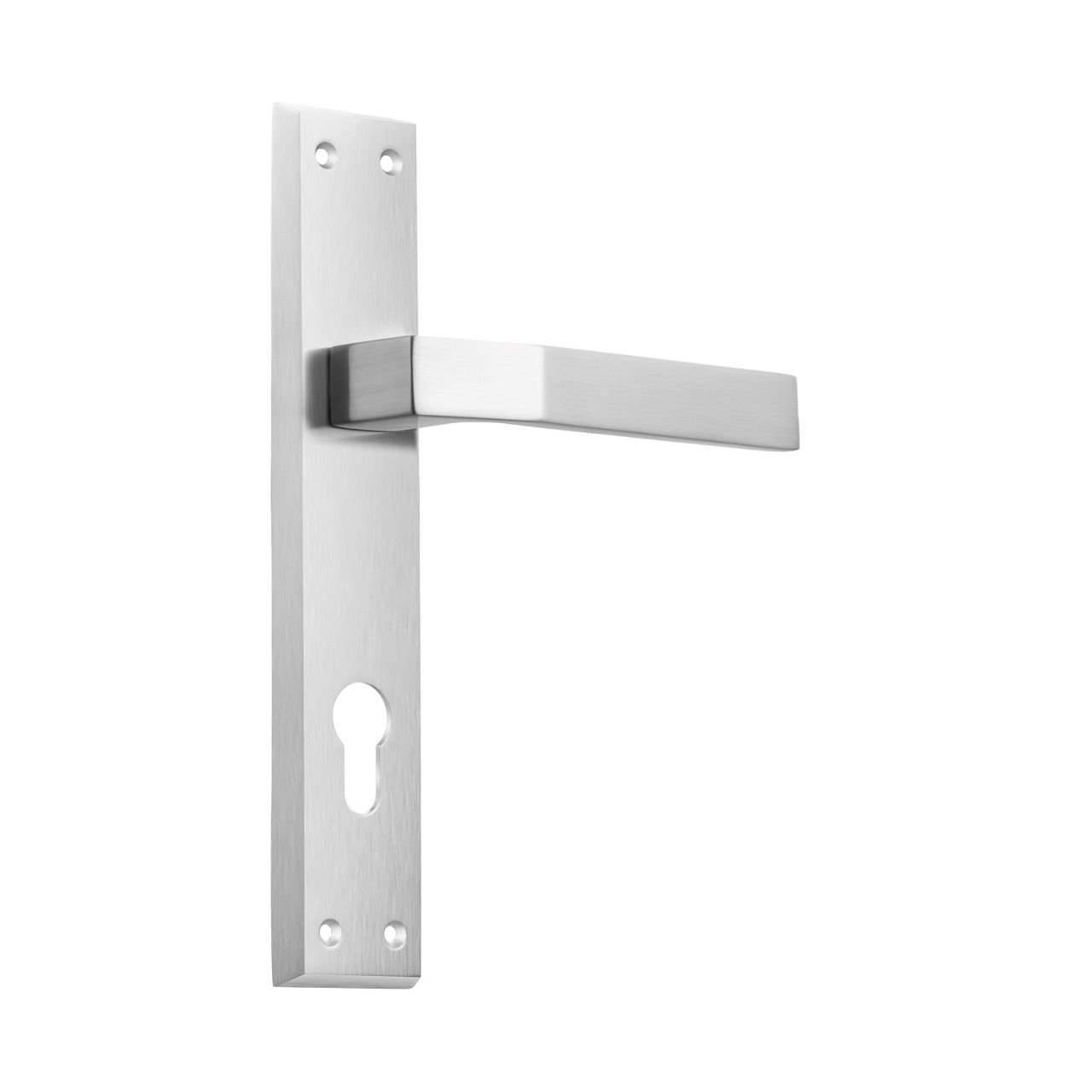 Image: No description