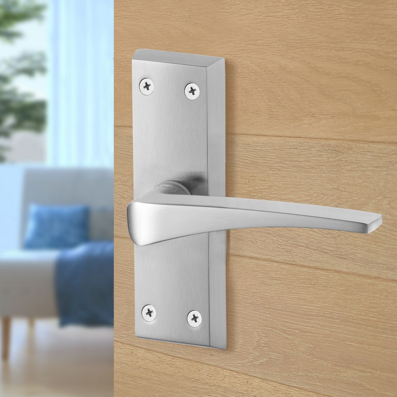 Image: No description