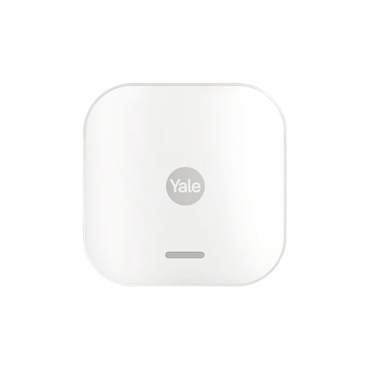 Image: No description