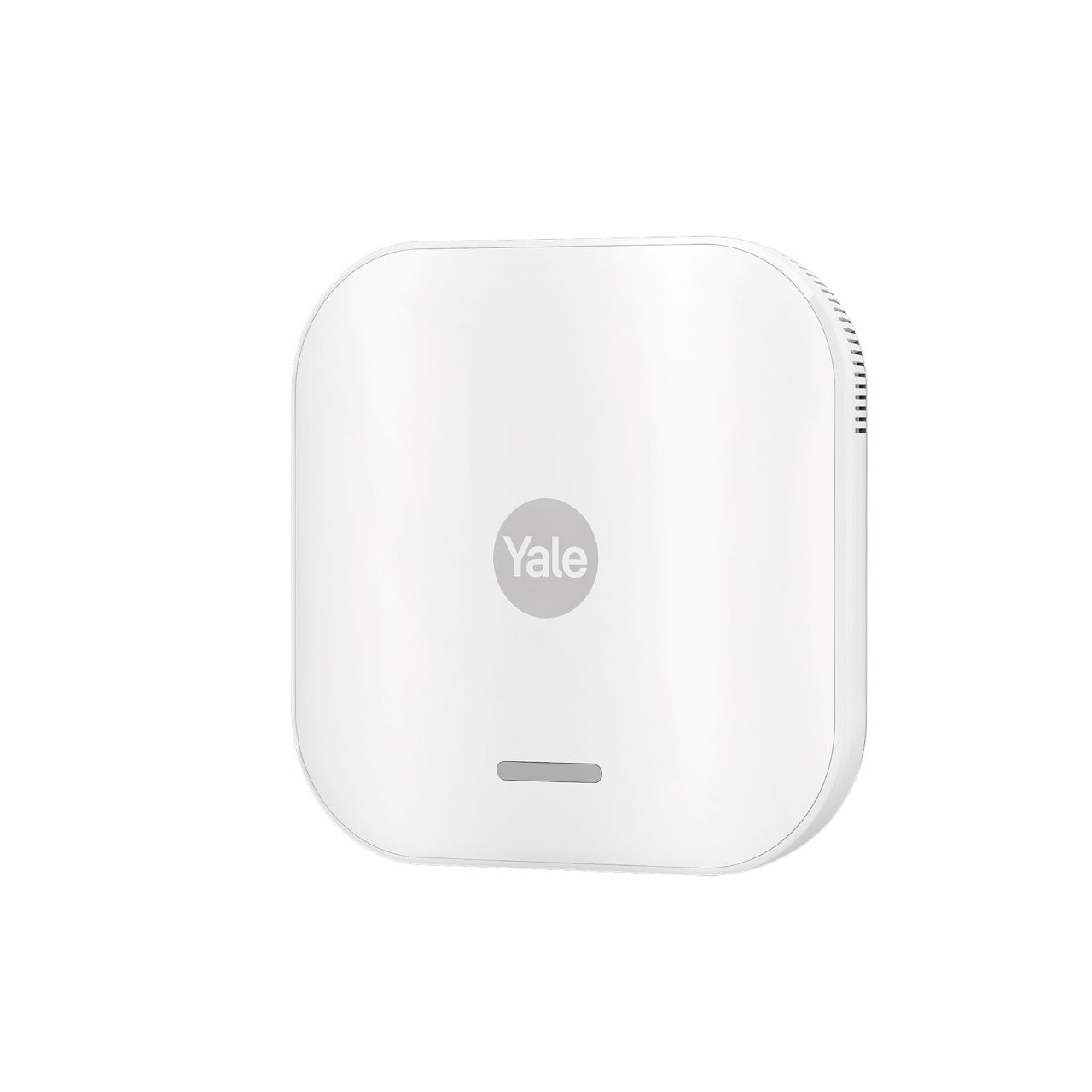 Image: No description