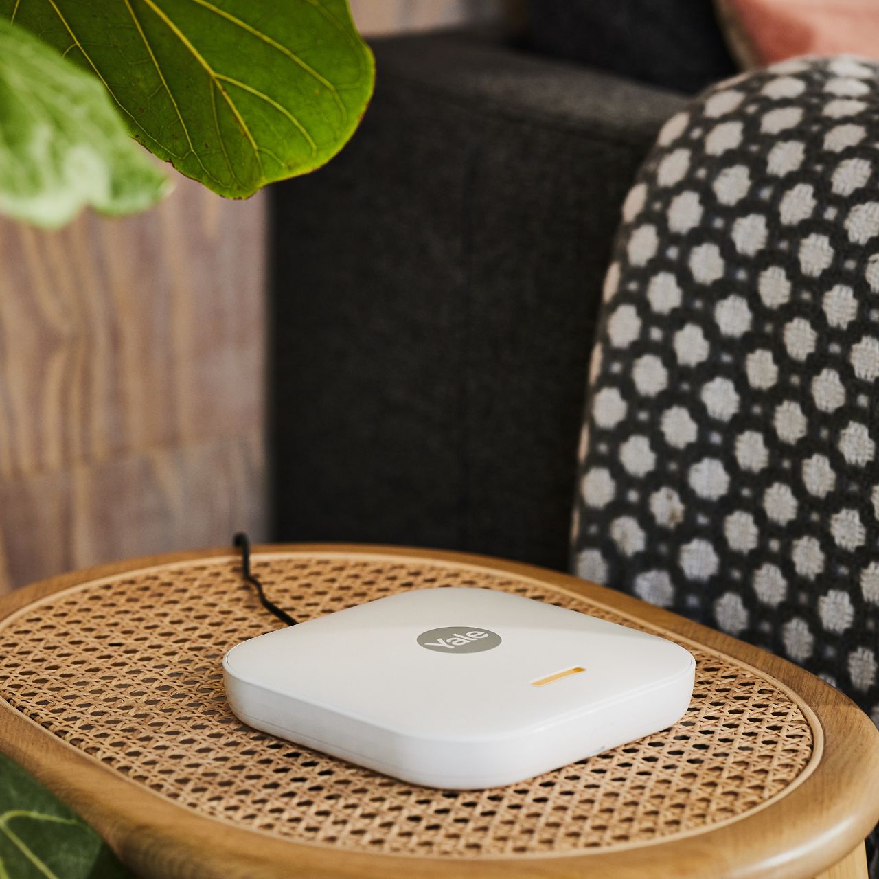 Image: No description