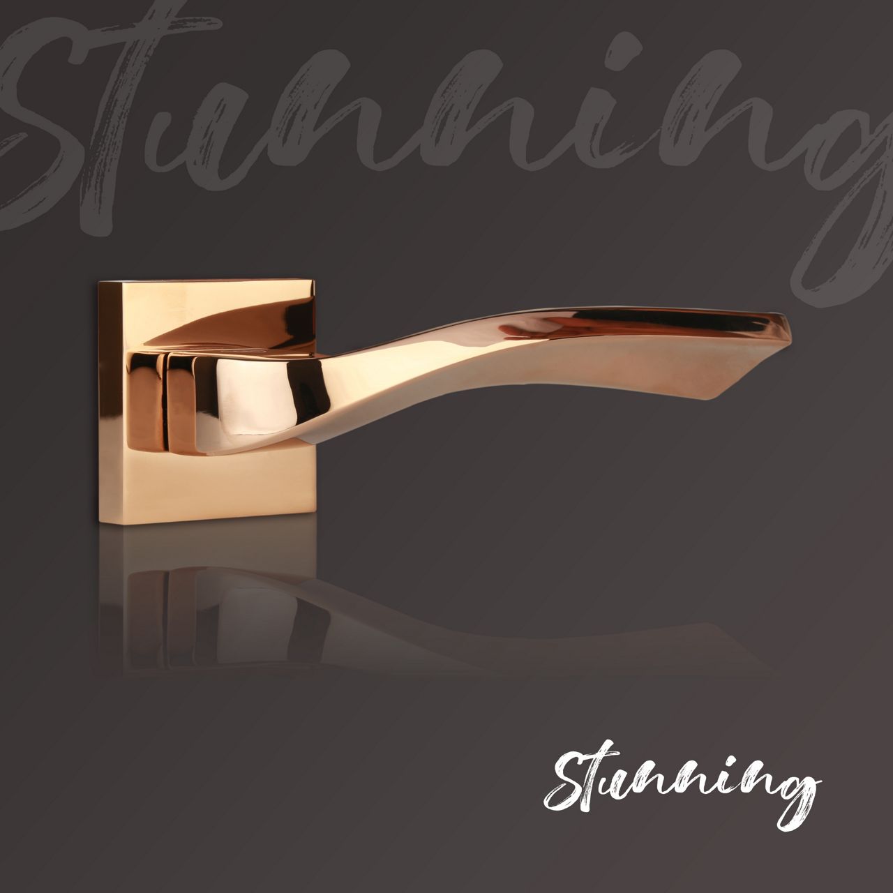 Image: 568e6-2copy.jpg