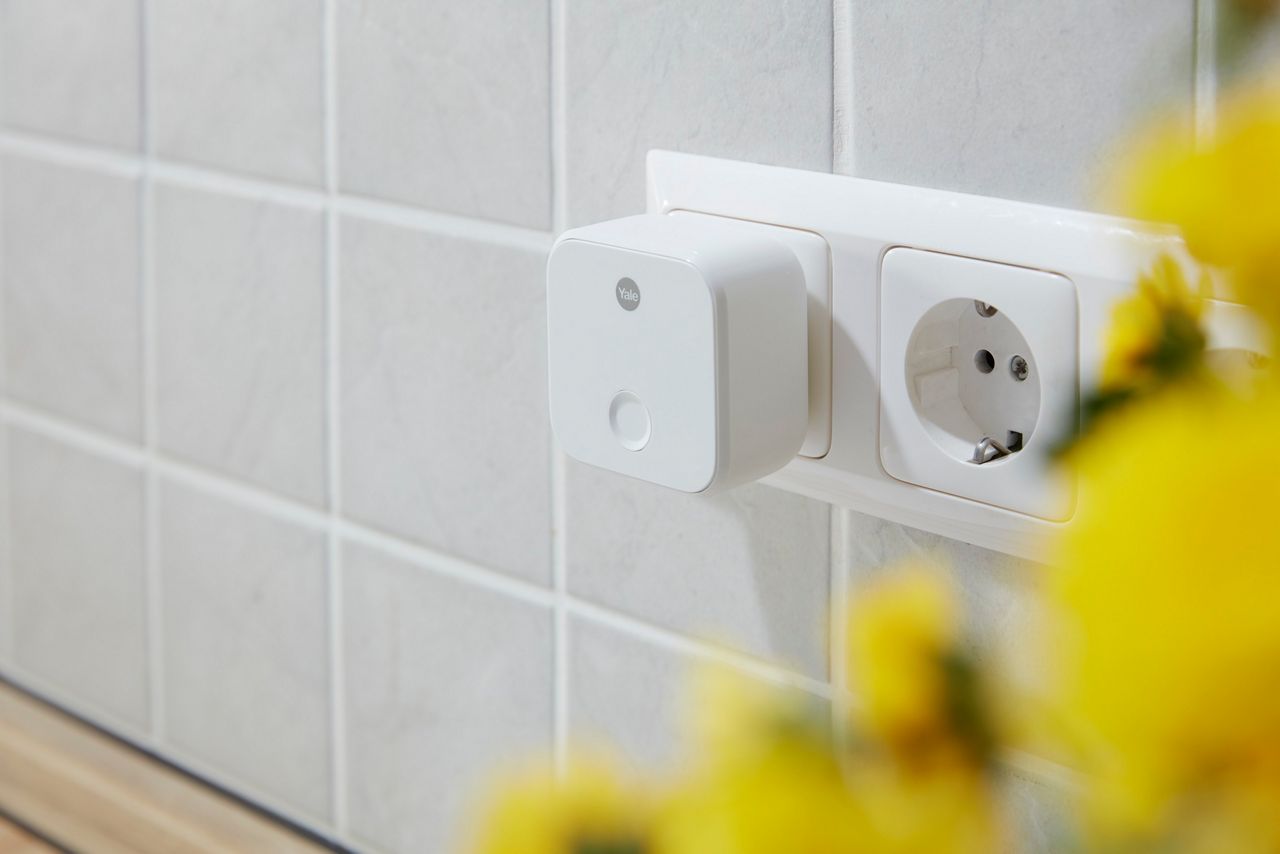 Image: 58caf-yale_terra_connectbridge3378.jpg