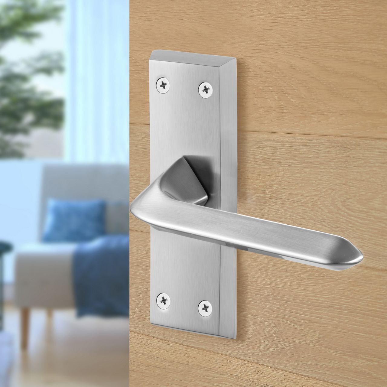 Image: No description