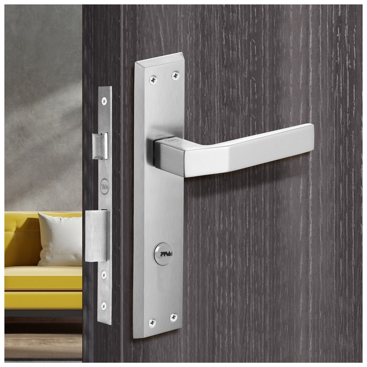 Image: No description