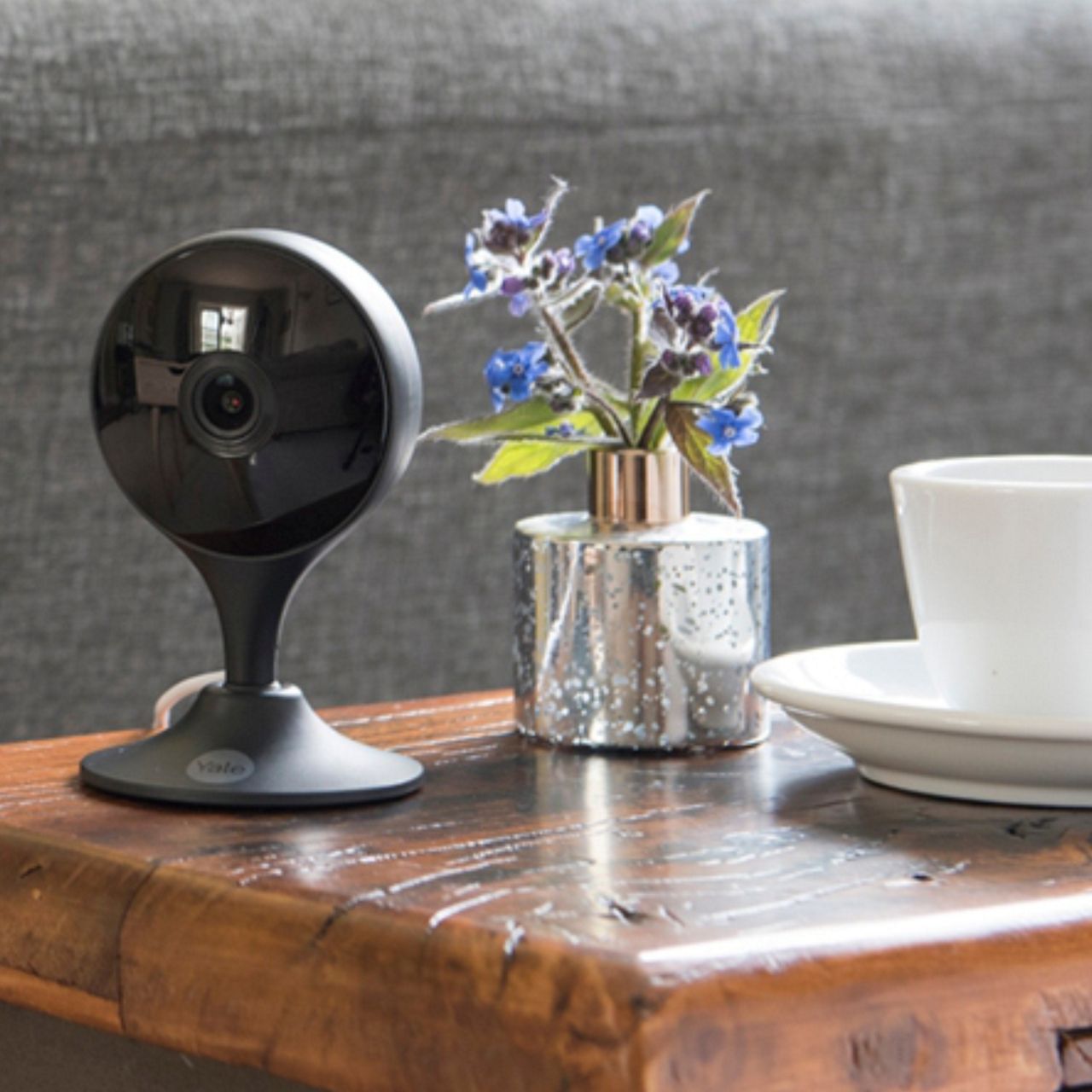 Image: No description