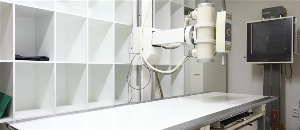 6144a-local-middleeastassaabloycom-products-doors-prometal-x-ray-66691.jpg