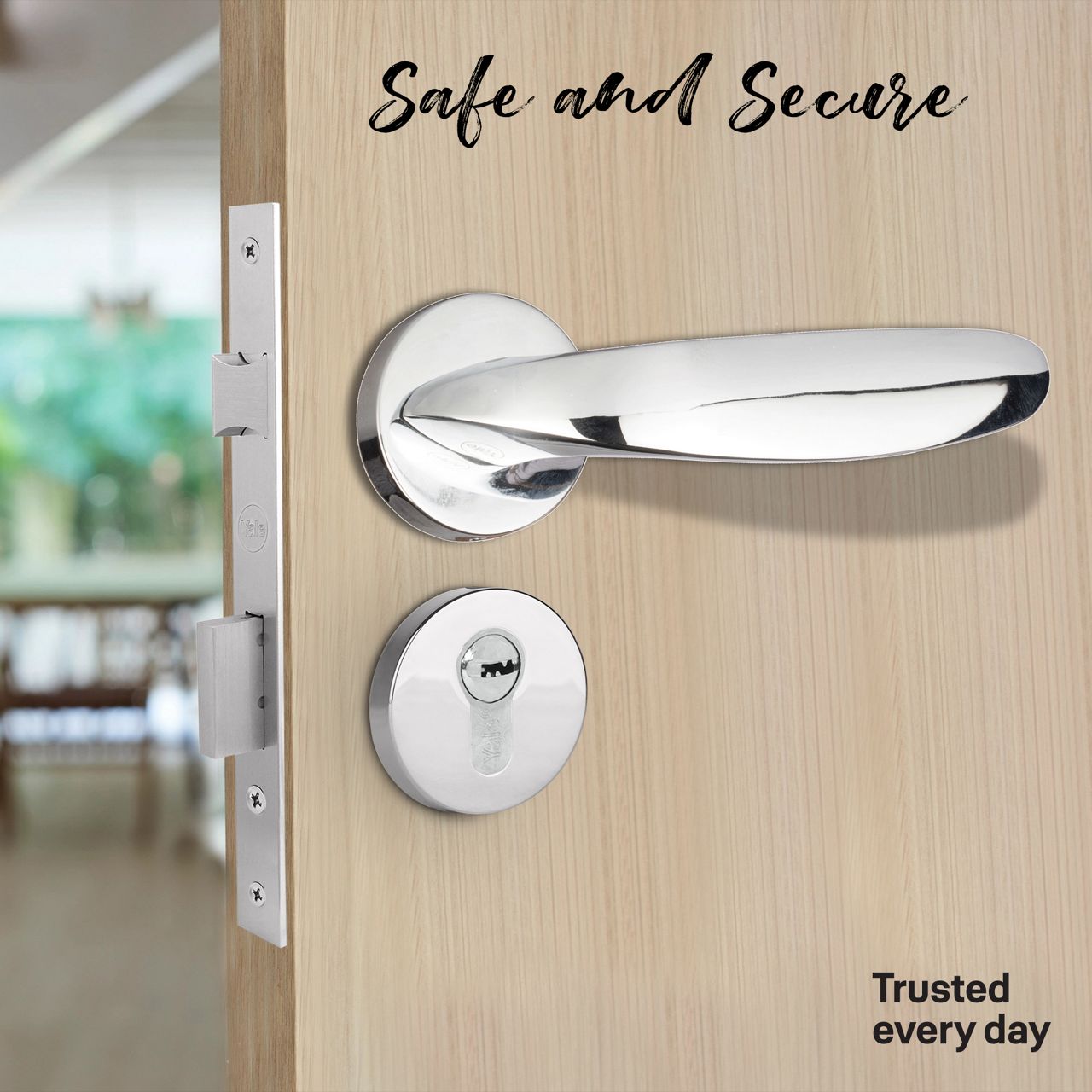 Image: 694c2-1copy.jpg