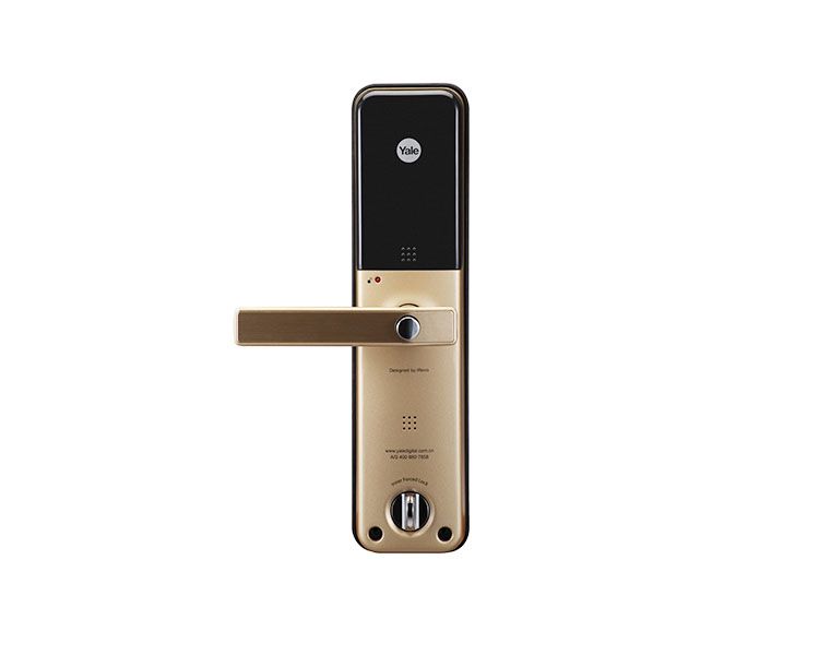 75af2-ydm7111goldback.png