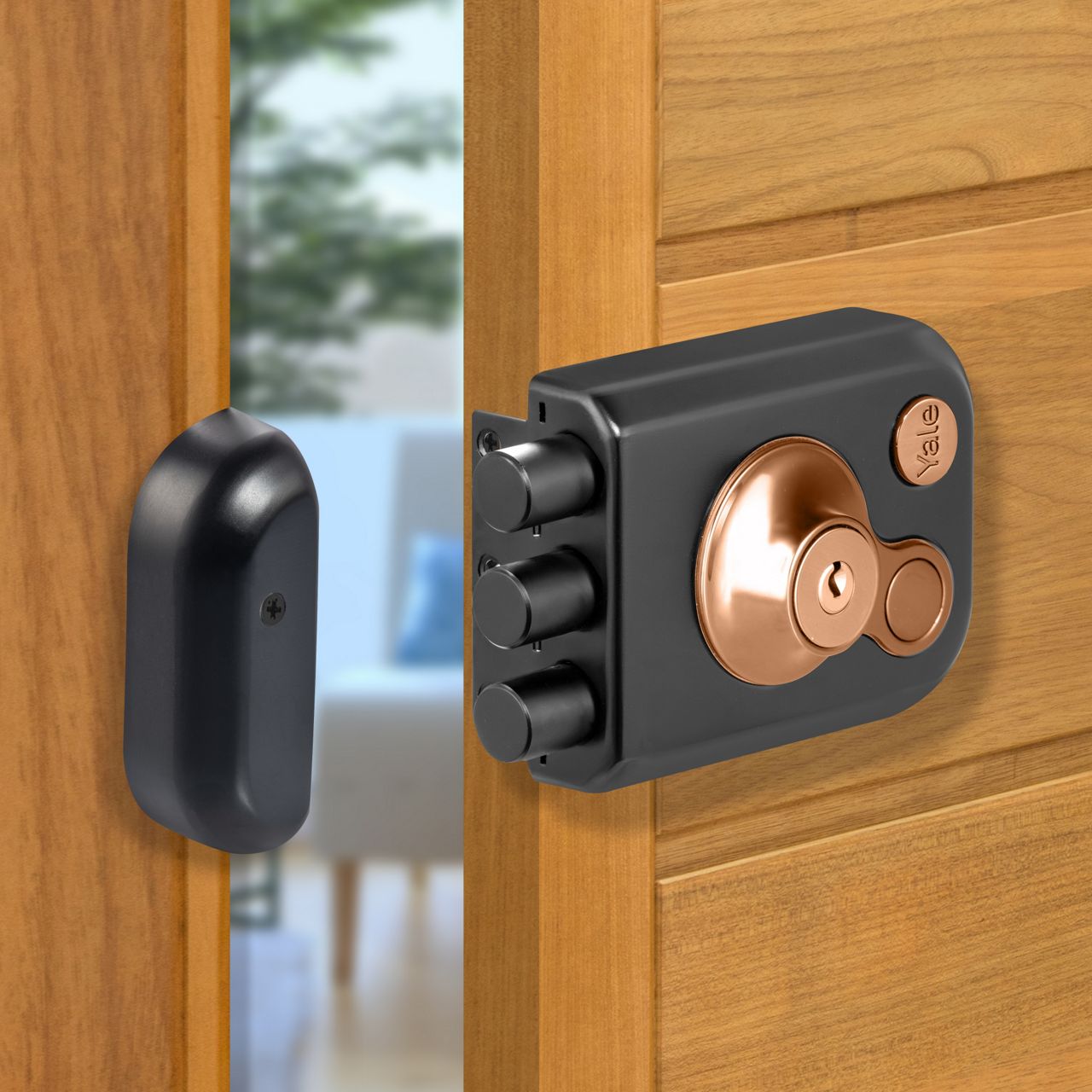 Image: No description