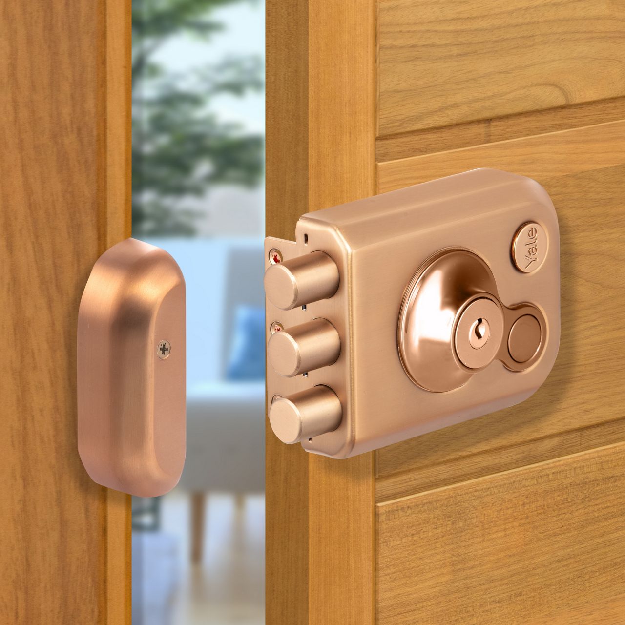 Image: No description