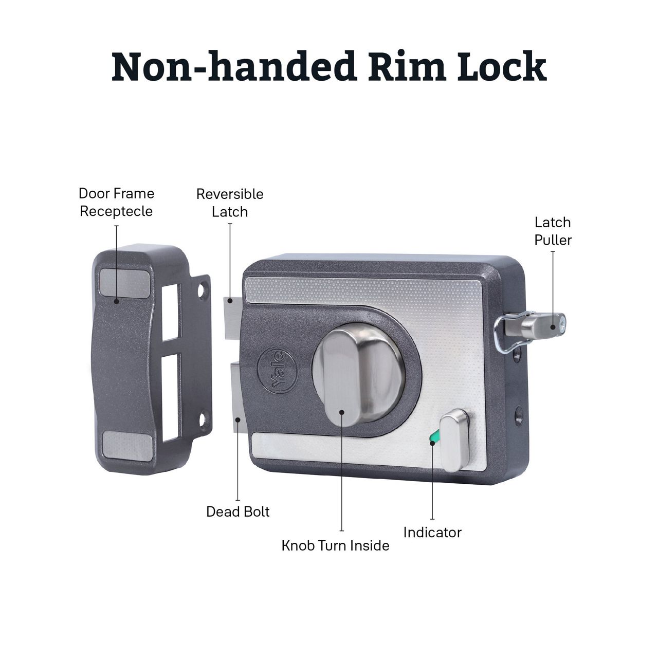 Image: 9ad50-cincocbs200_mg-04.jpg