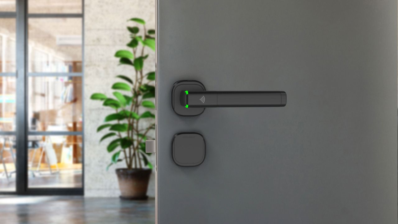 Image: No description