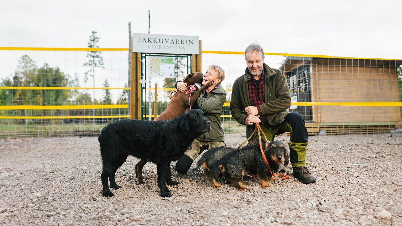 Jakkuvärkki Dog Forest