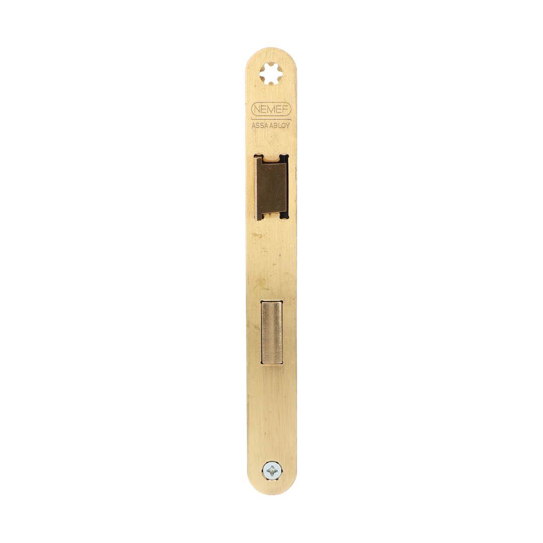 Image: Nemef badkamer/WC slot 1264/5 63mm met messing voorplaat