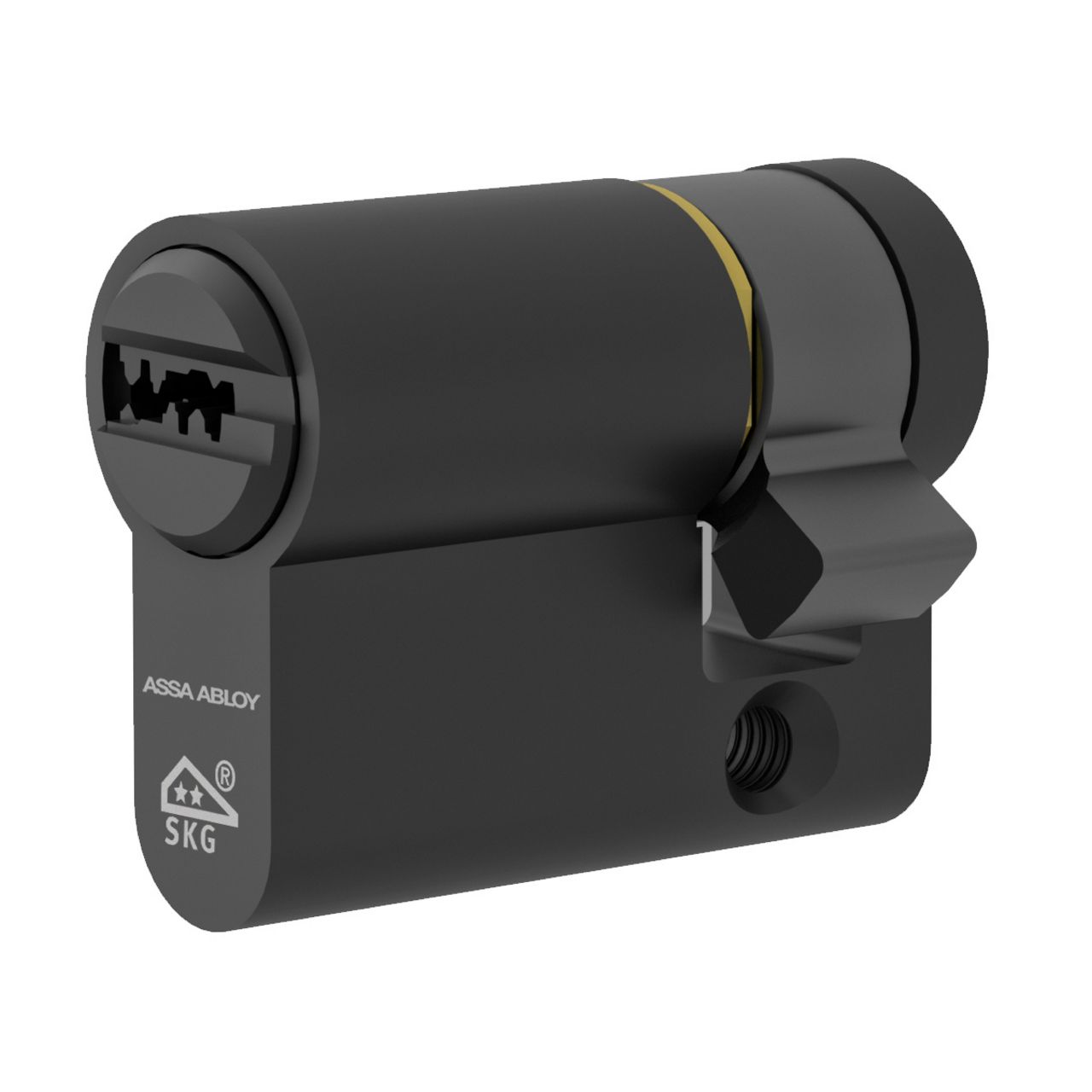 Image: ASSA ABLOY SKG2_single_Black_Finish-web.jpg