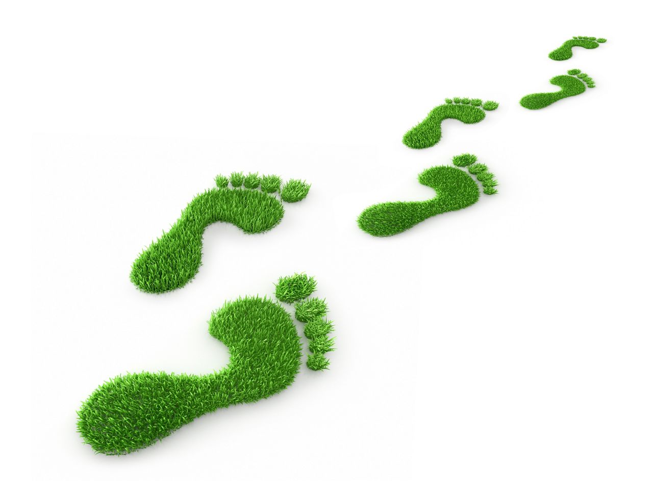 Sustainability