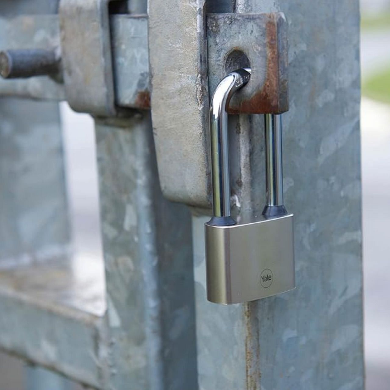 Image: No description