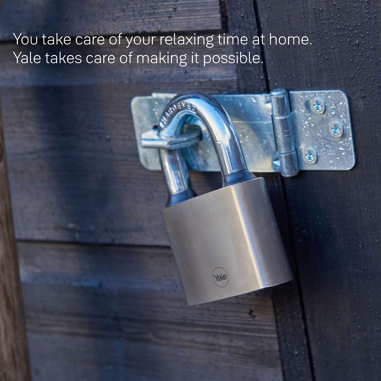 Image: No description