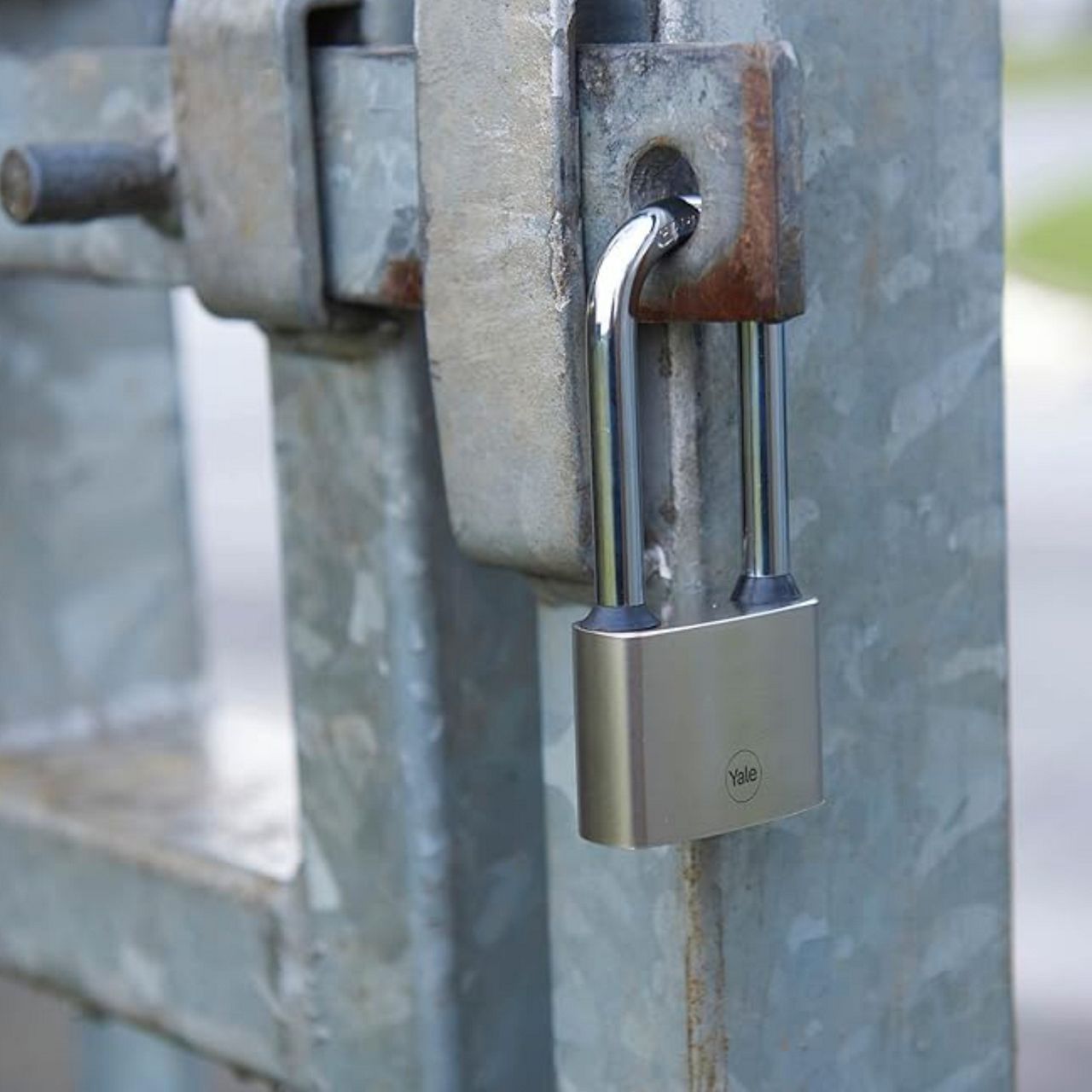 Image: No description