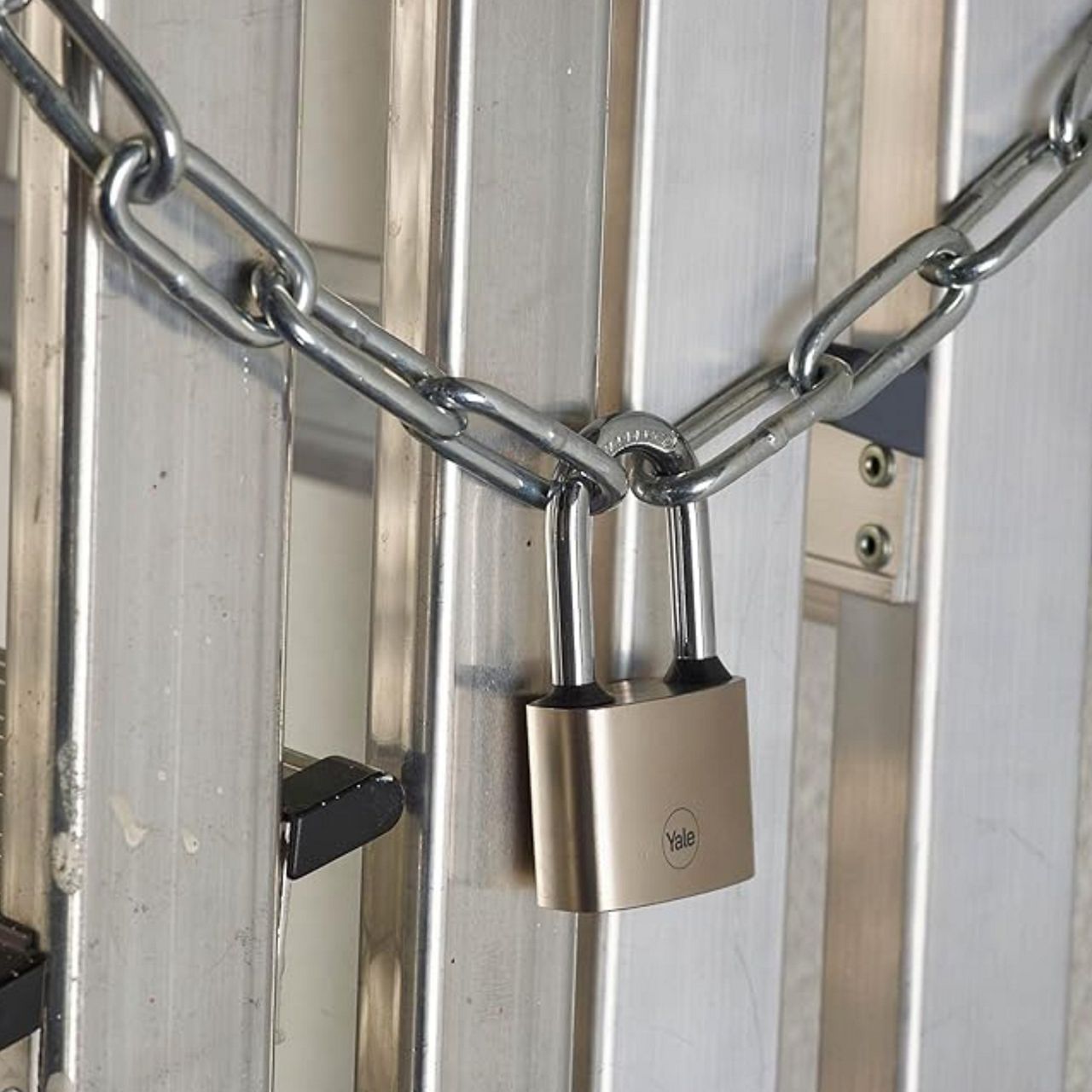 Image: No description