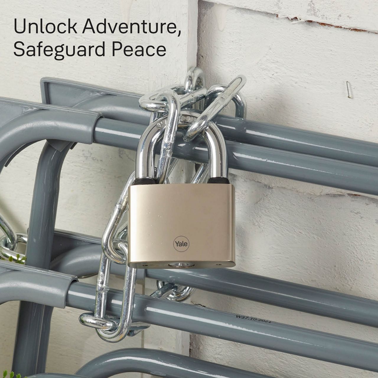 Image: No description