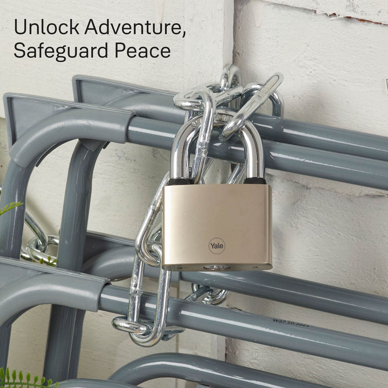 Image: No description