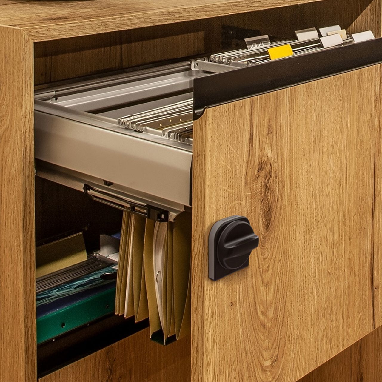 Image: Secures your personal files within Document Cabinets